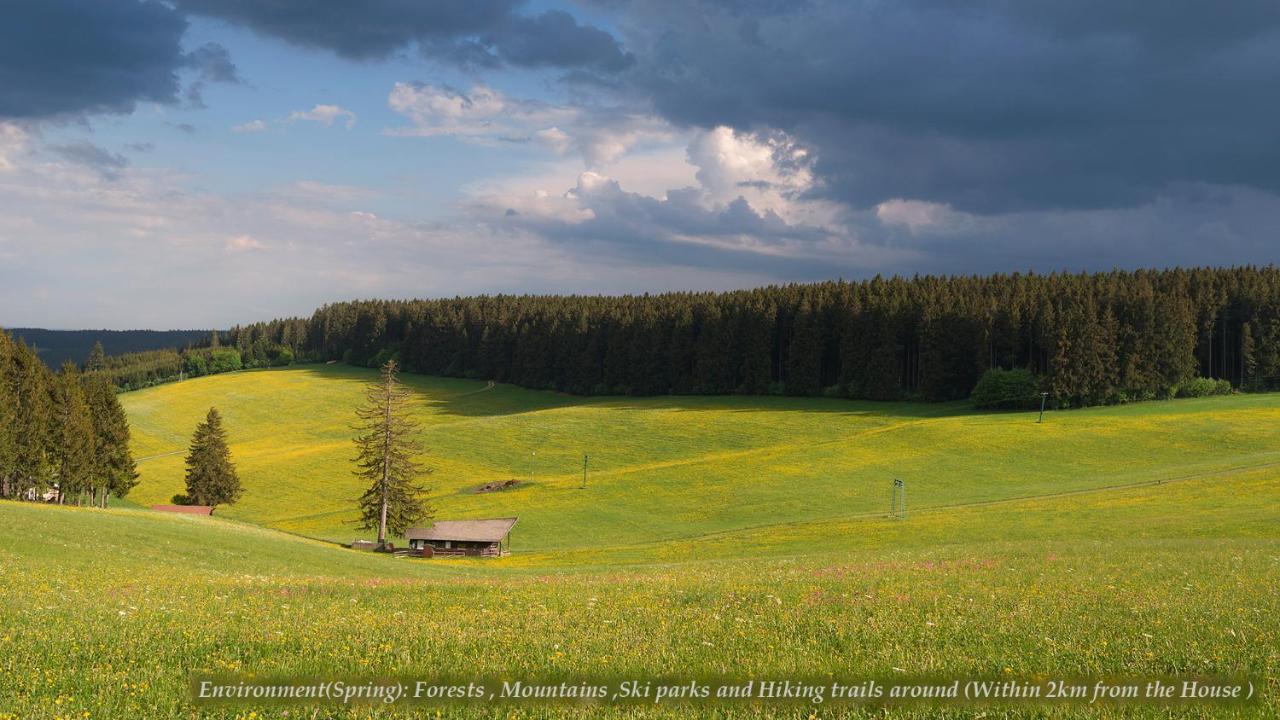 Entire House In Schwarzwald With Mountain View, Private Sauna, Gym, Garden And Terraces Unterkirnach Exterior foto