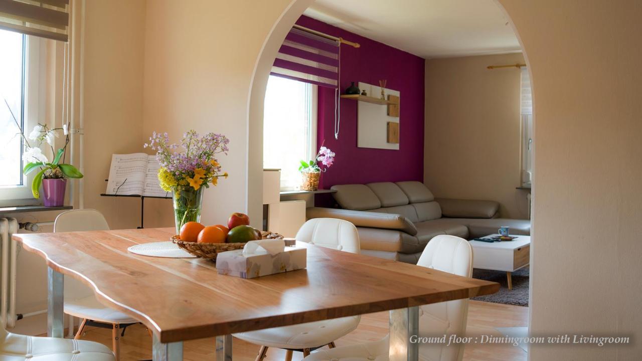 Entire House In Schwarzwald With Mountain View, Private Sauna, Gym, Garden And Terraces Unterkirnach Exterior foto
